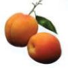 Apricot Shower Gel