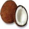 Coconut Moisturizing Body Lotion