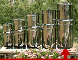 Crown Berkey Water Filter